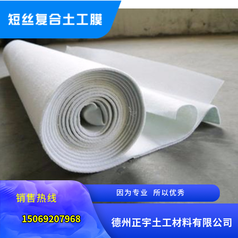 短絲復(fù)合土工膜