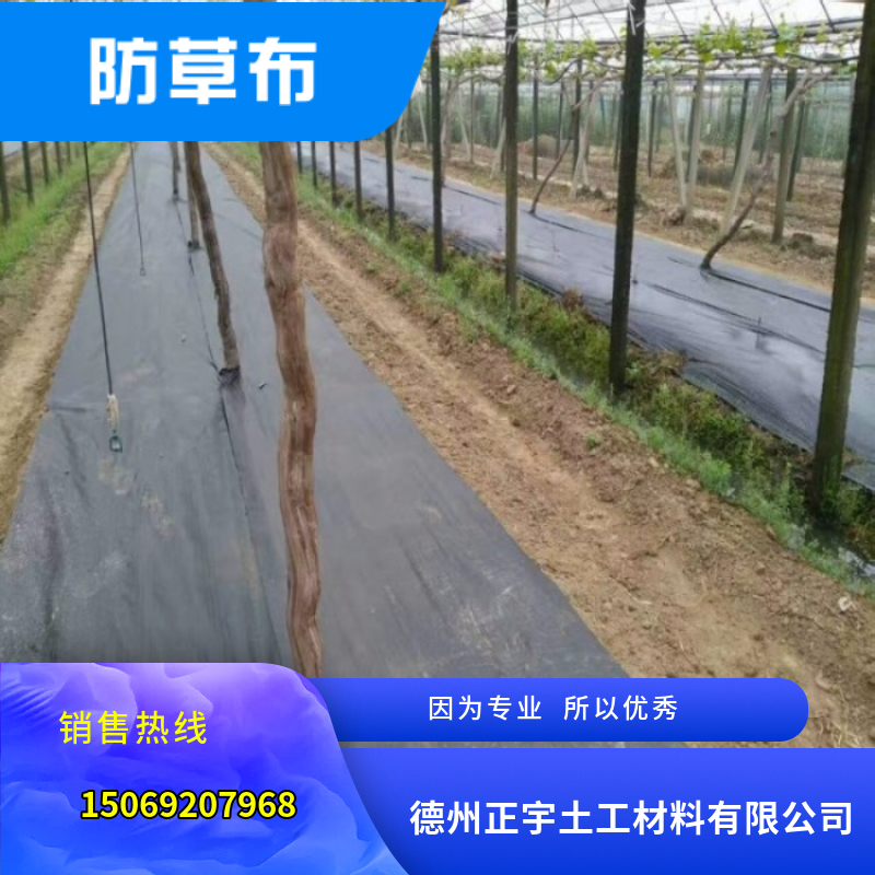 農業(yè)用除草園藝地布（防草布）