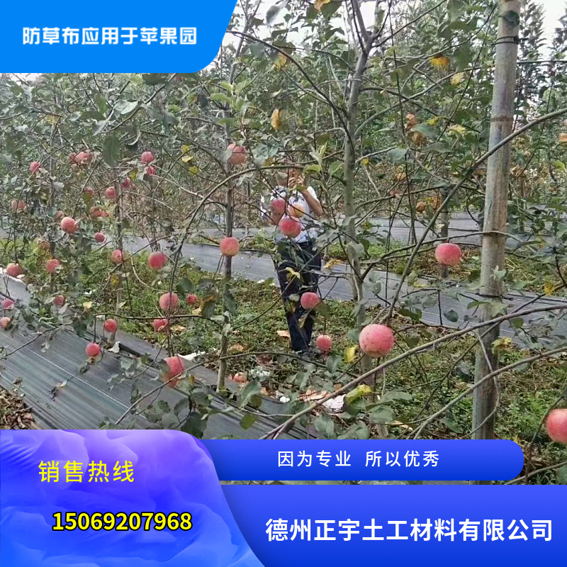 防草布（園藝地布）鋪設(shè)施工注意事項(xiàng)